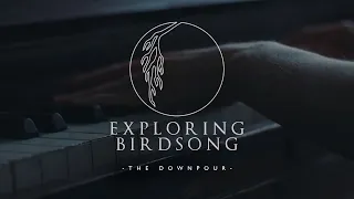 Exploring Birdsong - The Downpour (Official Video)