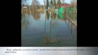 В Рузаевке (Мордовия) паводком подтоплены жилые дома