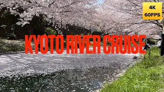 Kyoto Cherry Blossoms River Cruise 4K