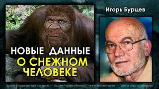 Игорь Бурцев. Новые данные о снежном человеке