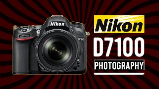 Nikon D7100 Photography | Photography | Nikon