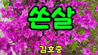 김호중 쏜살, Kim Hojoong Time Flies 짧고 눈부신 4월의 봄 꽃 풍경