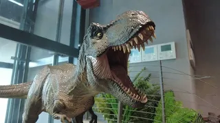 Mê mẩn với các mẩu mô hình khủng long cực xịn trong quán cafe Saurus Coffee & Gallery #dinosaur