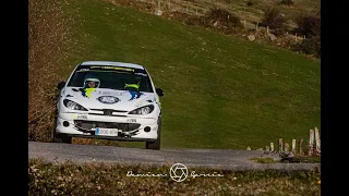 Pablo Fuente - David Berbil // Rally Alto Asón 2022 // Peugeot 206