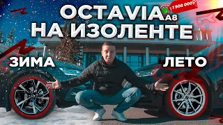 Литые диски на Skoda Octavia. Какие круче: зима или лето ?