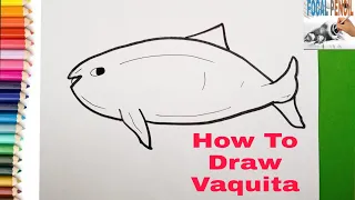 Learn how to draw a vaquita ( marine mammals) step by step.