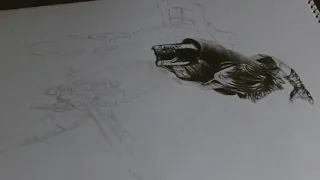 Final Fantasy XV - Noctis - Timelapse drawing