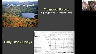 Maine Public’s Age of Nature Lecture Series: Maine's Forests
