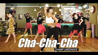 [라틴베이직반] ChaChaCha basic || 챔프라인댄스 CHAMP LineDance