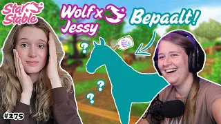 WOLFXJESSY BEPAALT WELK NIEUW PAARD IK KOOP !! 😱💸 | Star Stable Online | Zoo Lianne