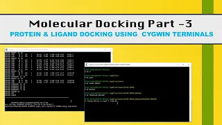 Molecular Docking Part - 3 | Protein & Ligand Docking | Computer-Aided Drug Designing.