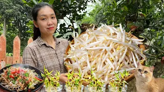 FULL VIDEO 120 HOURES: Growing bean sprouts are nutritious and pollution-fre, Harvesting, Cooking