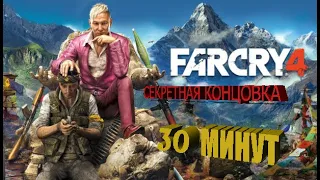 Я прошёл всю игру Far Cry 4 за 30 минут.