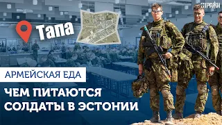 Столовая Тапа - как питаются в эстонской армии? 🇪🇪