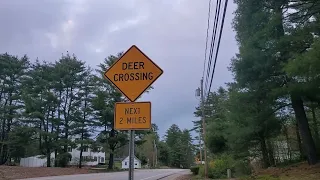 Watch Out for DEER 🦌