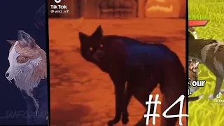 Wildcraft Tiktok compilation|| #4|| #wildtoks  {Flash warning}