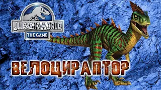 Битва динозавров. Эволюция динозавра "Велоцираптор" в игре Jurassic World: The Game