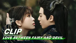 Dongfang Qingcang Comforts Sad Orchid | Love Between Fairy and Devil EP08 | 苍兰诀 | iQIYI