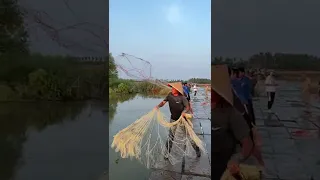 Best cast net fishing Catching big fish with cast  Net fishing