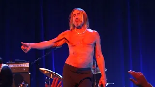 IGGY POP - Passenger - Live @ Besançon le 06/05/2022