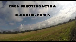 Crow Shooting Hunting Pest Control July 2023 with the Browning Maxus