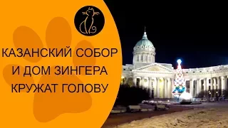 Казанский собор и дом Зингера кружат голову