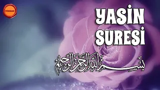 Yasin Suresi - Nasser al Qatami