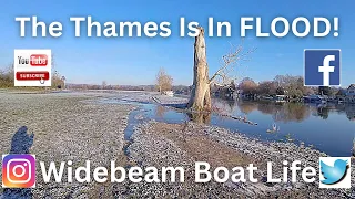 #161 - DANGER! The Thames IS IN FLOOD! Widebeam Boat Life