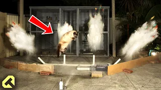 Next Level Cat Repellent - Funny Cat Reactions!