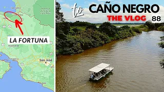 The Undiscovered Beauty Of Caño Negro