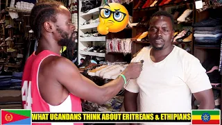 What Ugandans Think About Eritreans & Ethiopians 😭|| This Will Shock You😡.