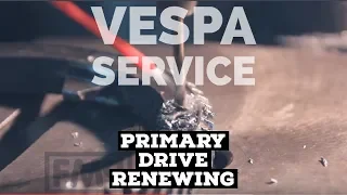 vespa PRIMARY RENEWING service | FMP-Solid PASSion |