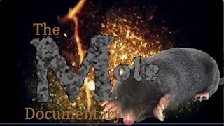 The Mole: Documentary/Science Project