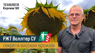 РЖТ Воллтер СУ: секрети високих врожаїв