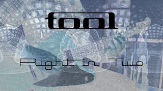 Tool - Right in two (guitar cover / playthrough)