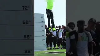How high can human beings jump?