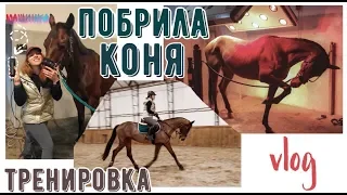 День из жизни конника/конный vlog🐴❤️