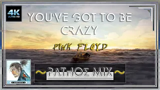 You've Got to Be Crazy ～PΛTHOΣ MIX～ PINK FLOYD | 4K |