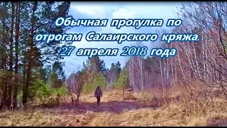 Прогулка по отрогам Салаирского кряжа.