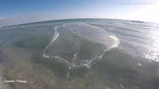 Castnetting loads of bait on the beach!