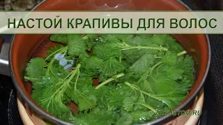 Крапива для здоровья и красоты волос - Nettles for health and beauty of hair