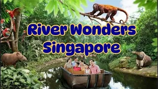 River Safari | Zoo | River Wonders Singapore | Place to Visit in Singapore | Mandai Zoo | [FULL HD]