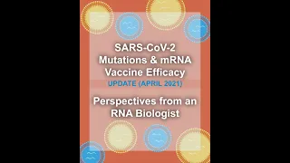 Covid-19 Mutations and Variants Explained