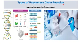 Types of Polymerase Chain Reaction || Reverse Transcriptase PCR  (RT PCR) and Real Time PCR