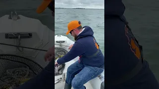 Pêche au Tenya dans le Golfe du Morbihan