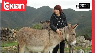 Një ish emigrant hap fermën e parë me gomarica - Histori shqiptare nga Alma Çupi