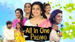 All in One Promo | 1st March 2024 | Dhee Celebrity Special, Jabardasth, Extra Jabardasth, Suma Adda