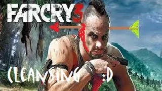 Cleansing Farcry3 | the usual forest fire :P