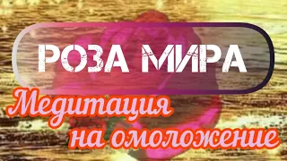 🌺РОЗА МИРА. Медитация на омоложение