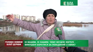 Ні вашим, ні нашим  Чому місцеві жителі вимушені боротися за лебединий ставок?